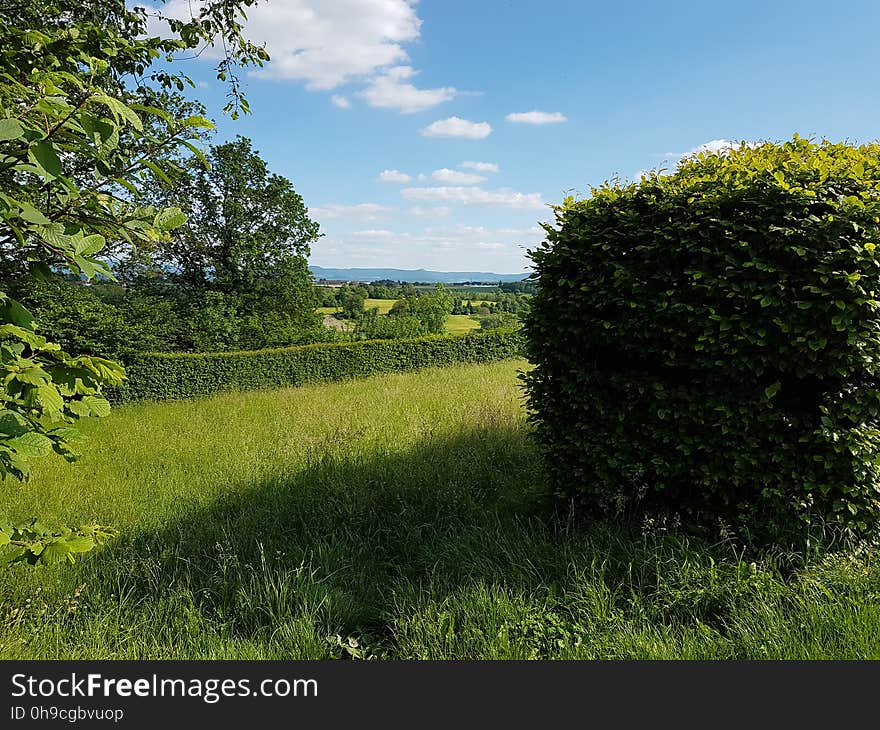 Sky, Cloud, Plant, Plant community, Natural landscape, Land lot