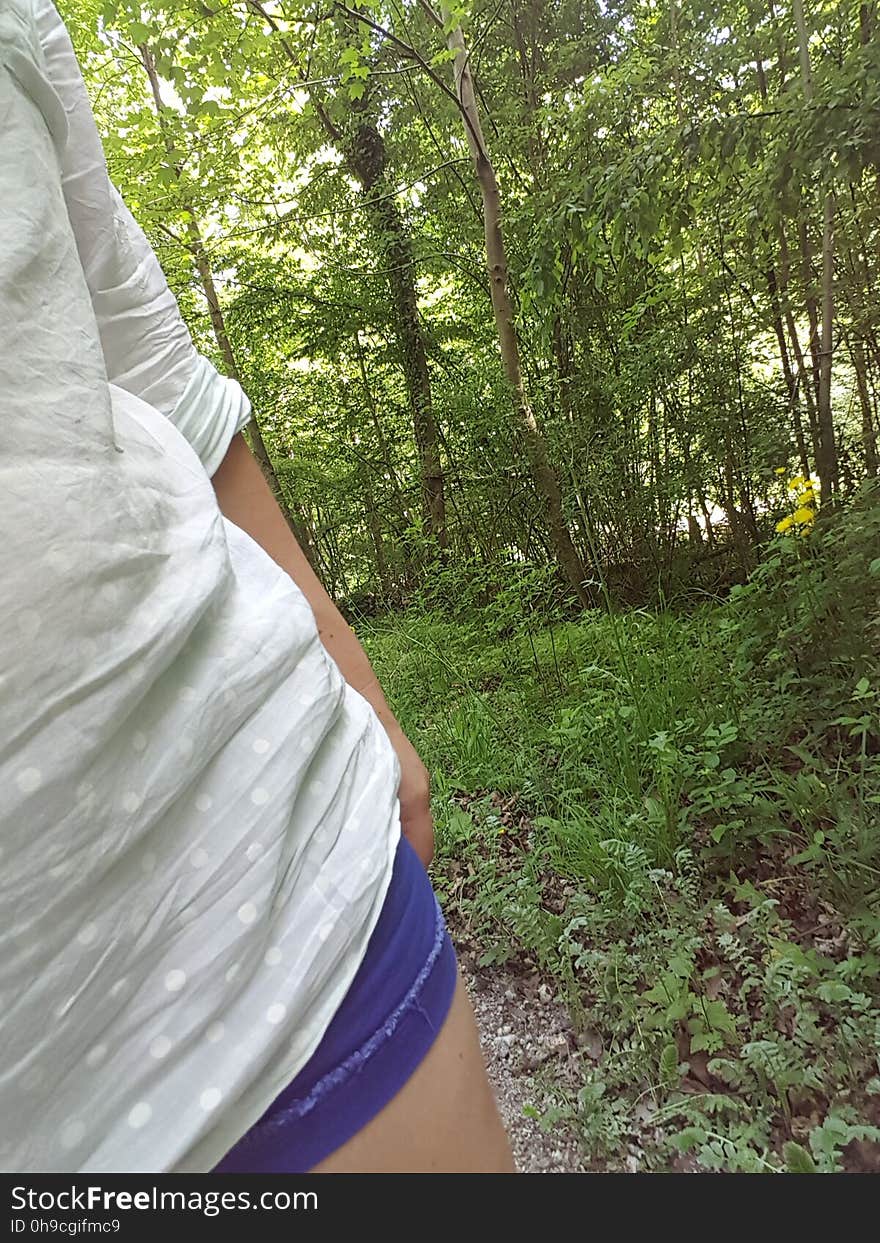 Plant, People in nature, Tree, Sleeve, Wood, Sunlight