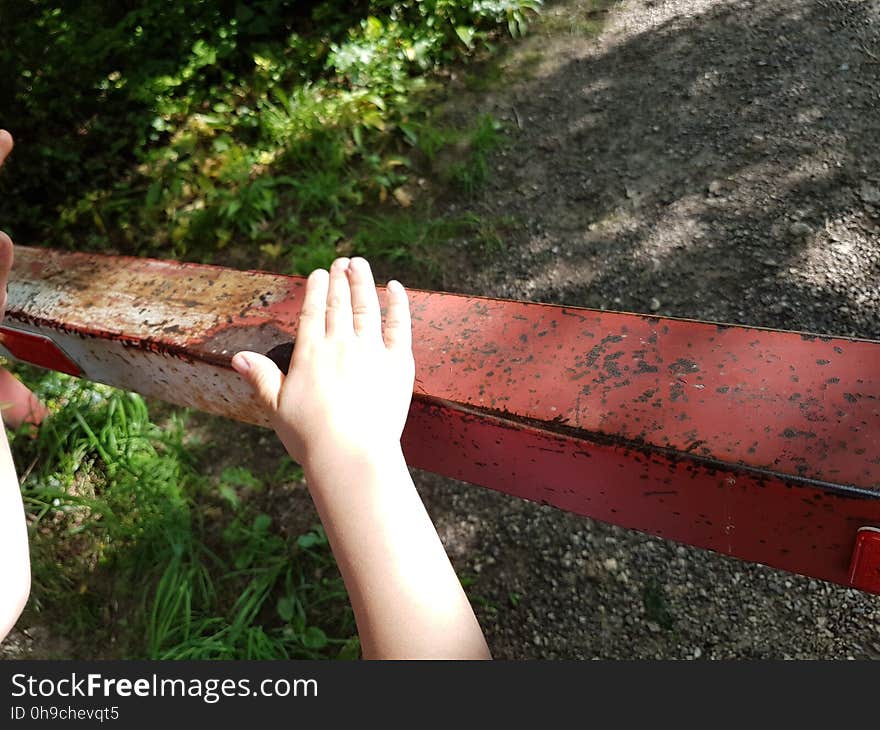 Plant, Wood, Grass, People in nature, Finger, Terrestrial plant