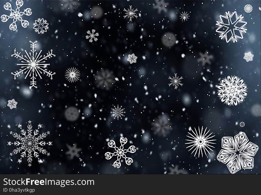 Fireworks, Sky, Event, Snowflake