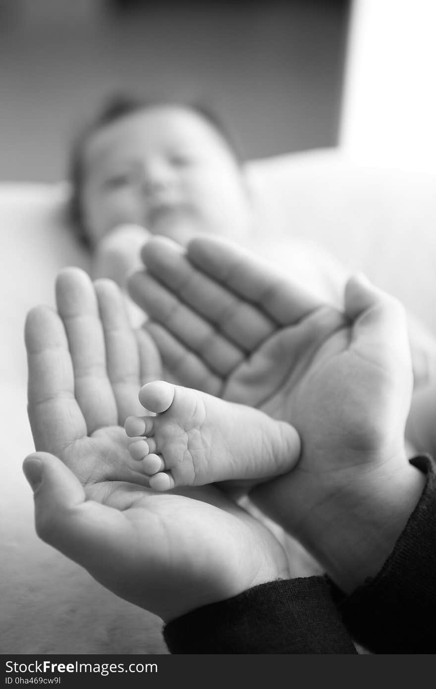 Black, Photograph, Hand, Black And White