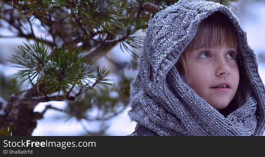 Winter, Tree, Woody Plant, Girl