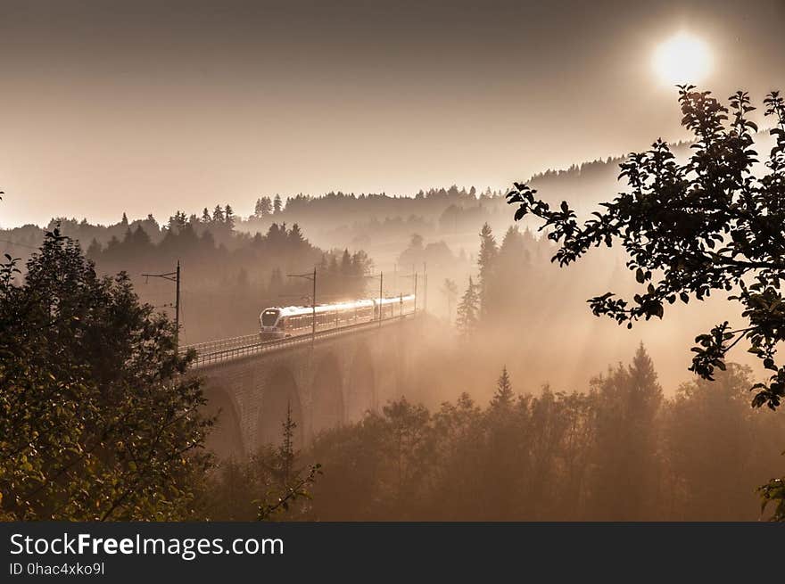 Unser August-Kalenderbild: Die Südostbahn bei Degersheim.