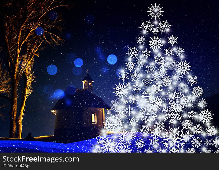 Blue, Christmas Tree, Nature, Winter