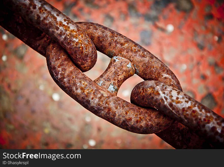 Close Up, Rust, Macro Photography, Organism