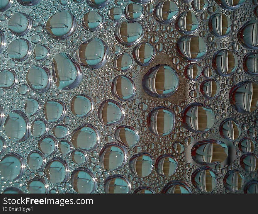 Water, Pattern, Organism, Texture