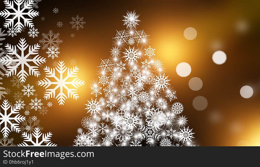 Christmas Tree, Christmas, Christmas Decoration, Fir