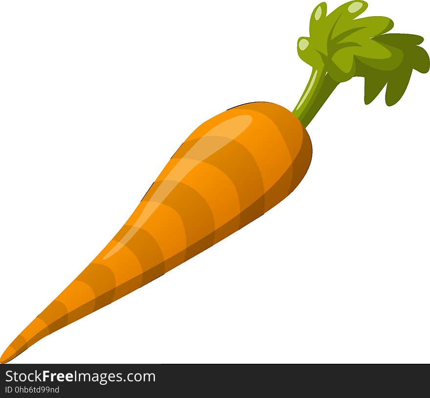 Vegetable, Produce, Food, Carrot