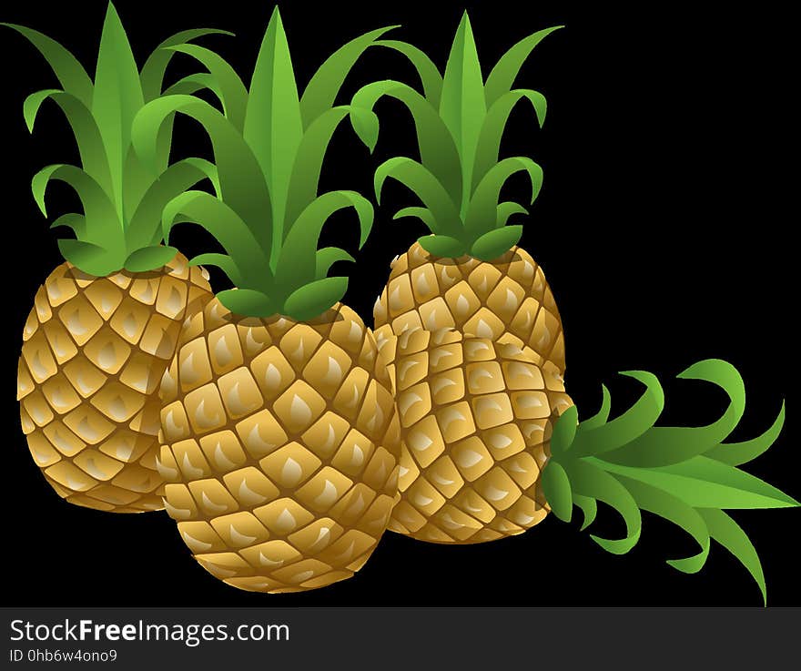 Ananas, Pineapple, Fruit, Plant