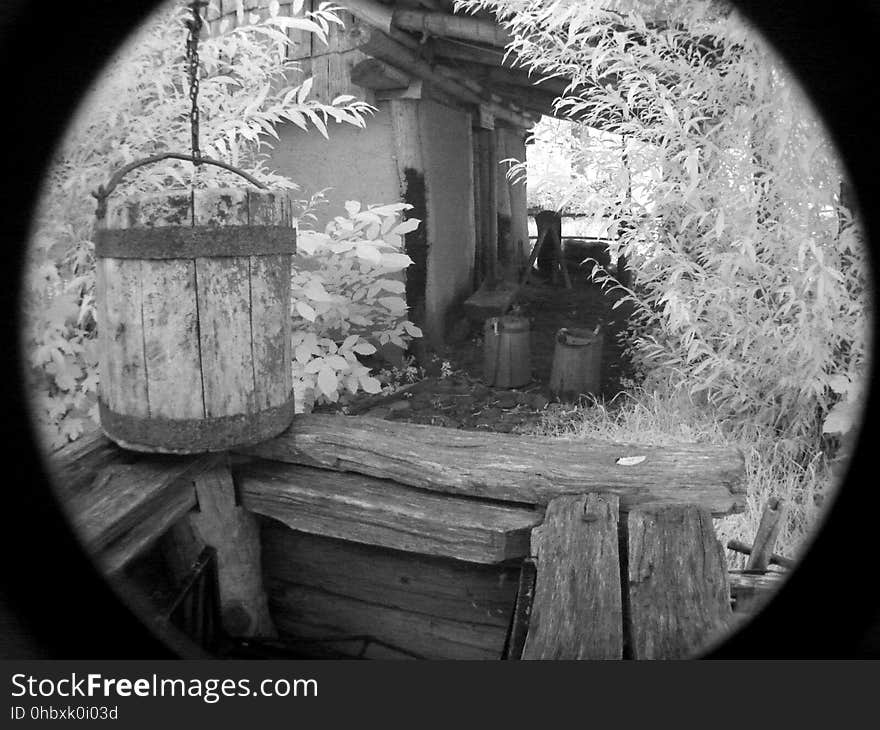 White, Light, Black, Wood, Black-and-white, Plant