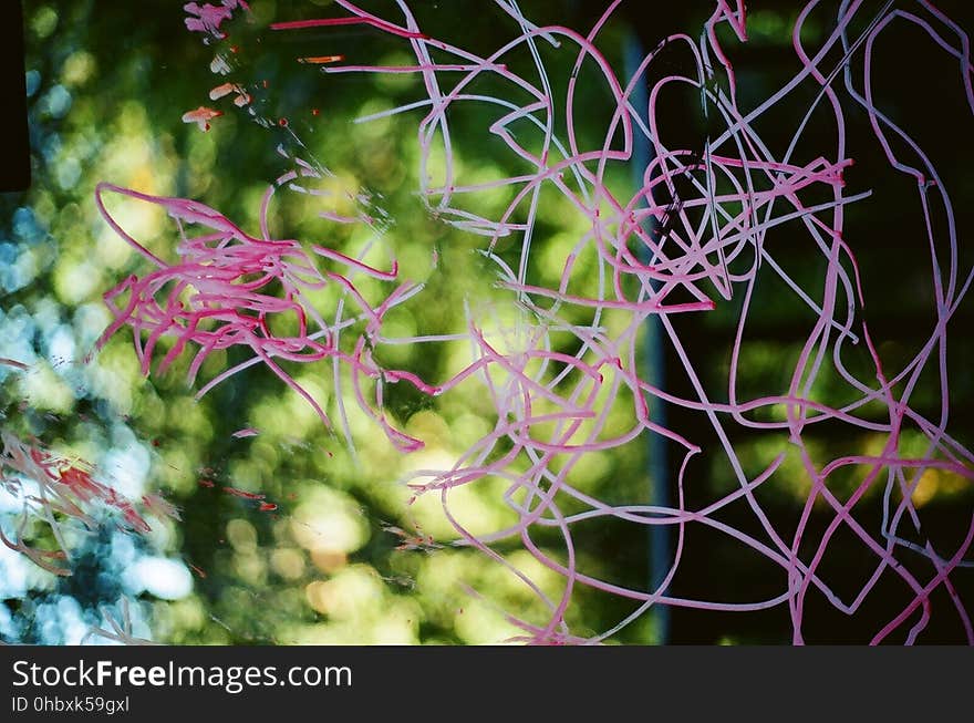 A bunch of red thread hanging in the air with a tree in the background. A bunch of red thread hanging in the air with a tree in the background.