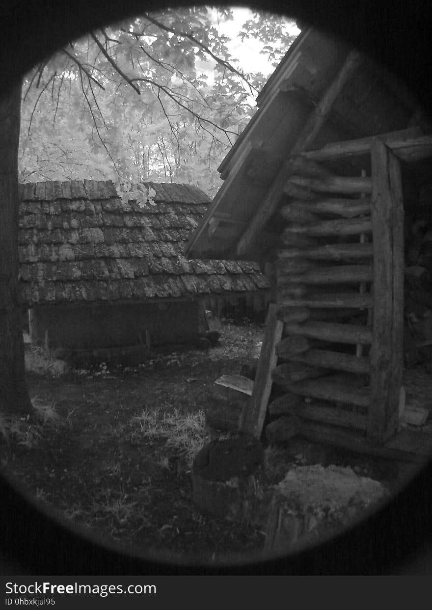 Flash photography, Wood, Building, Tree, Black-and-white, Window