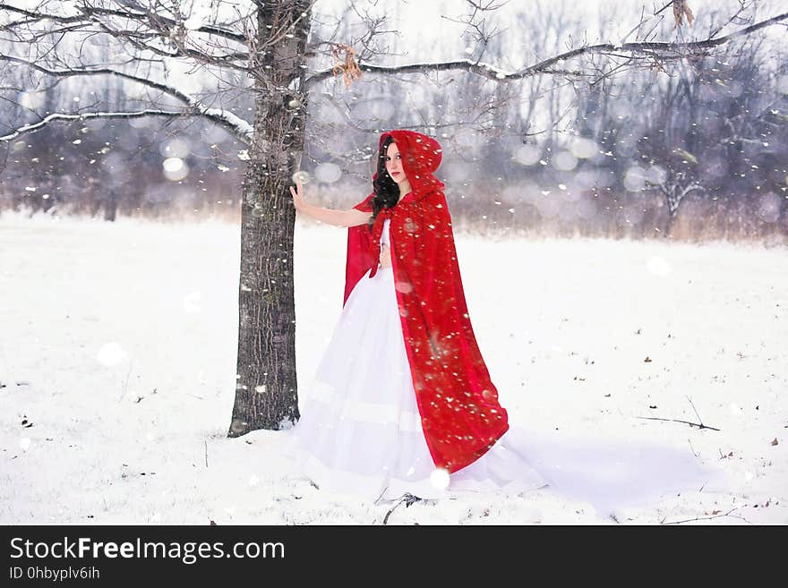 Red, Snow, Winter, Freezing