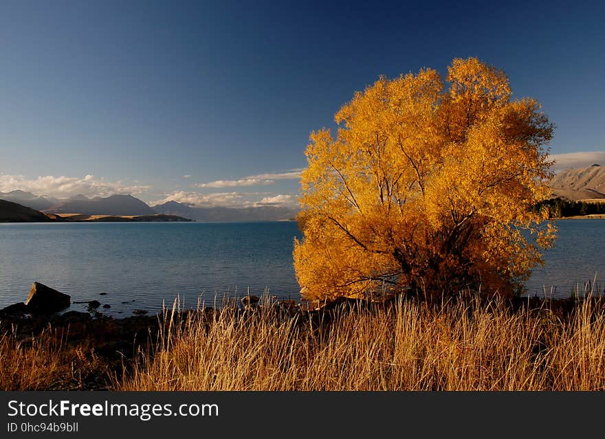 Autumn at Lake Tekapo NZ &#x28;13&#x29;