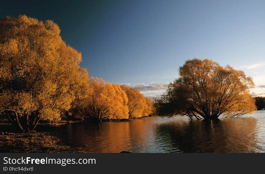 Autumn at Lake Tekapo NZ &#x28;24&#x29;