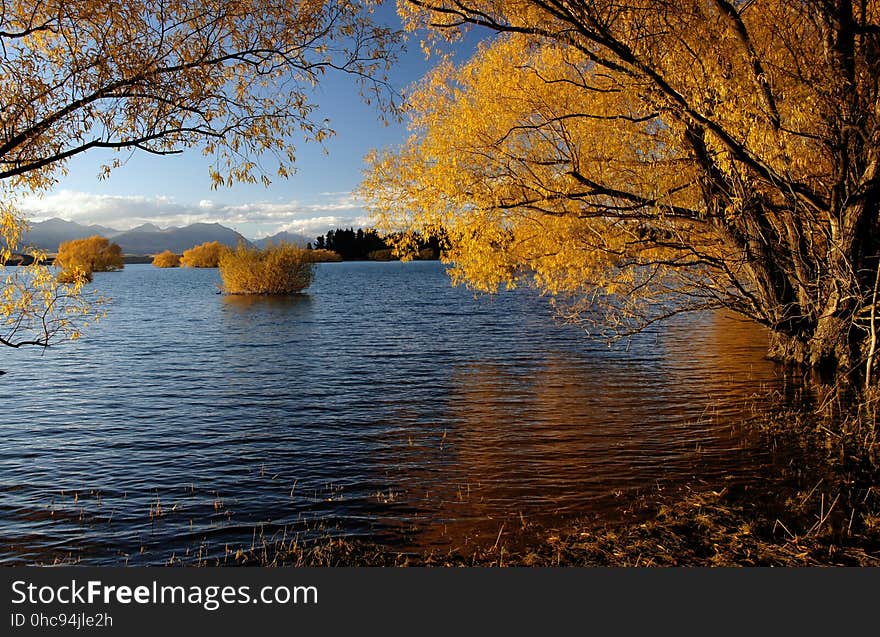 Autumn at Lake Tekapo NZ &#x28;16&#x29;