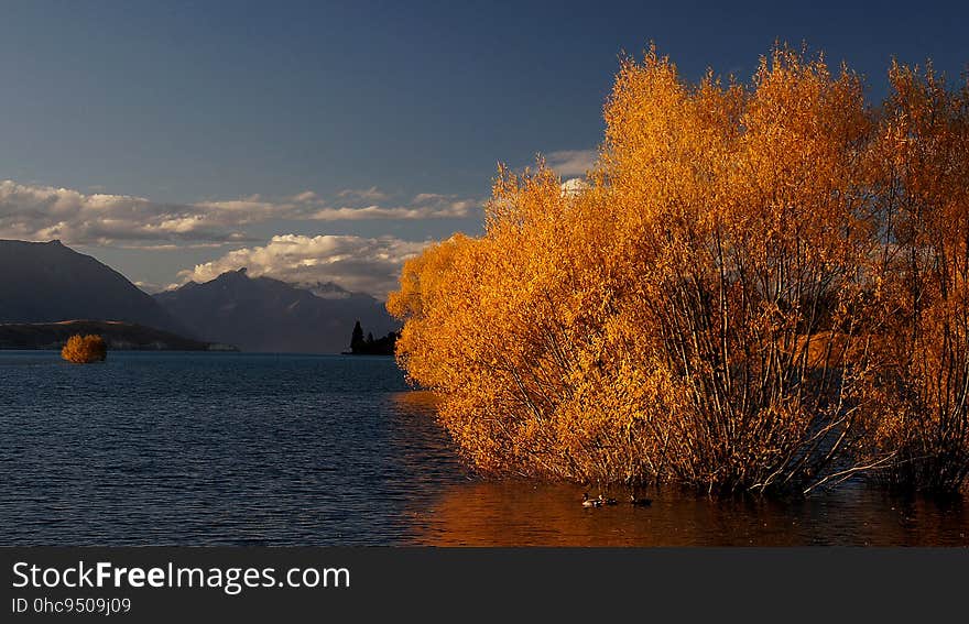 Autumn at Lake Tekapo NZ.