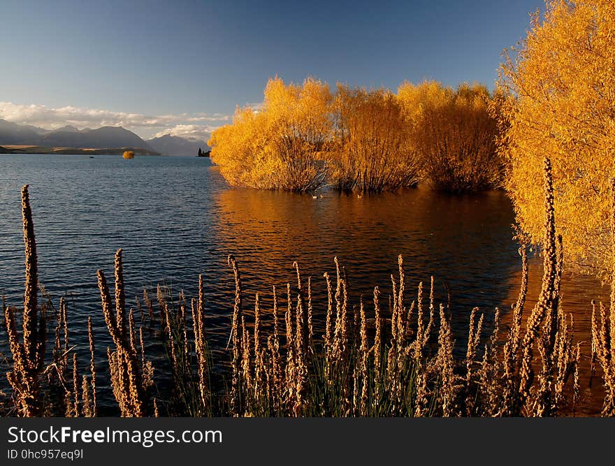 Autumn at Lake Tekapo NZ &#x28;14&#x29;