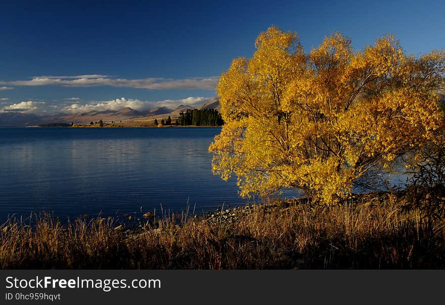 Autumn at Lake Tekapo NZ &#x28;10&#x29;