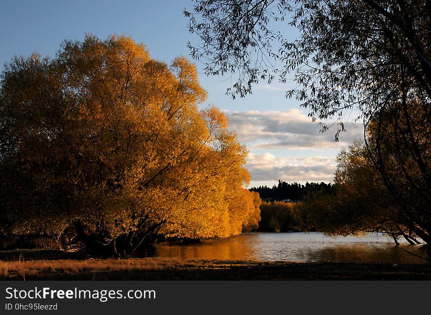 Autumn at Lake Tekapo NZ &#x28;26&#x29;