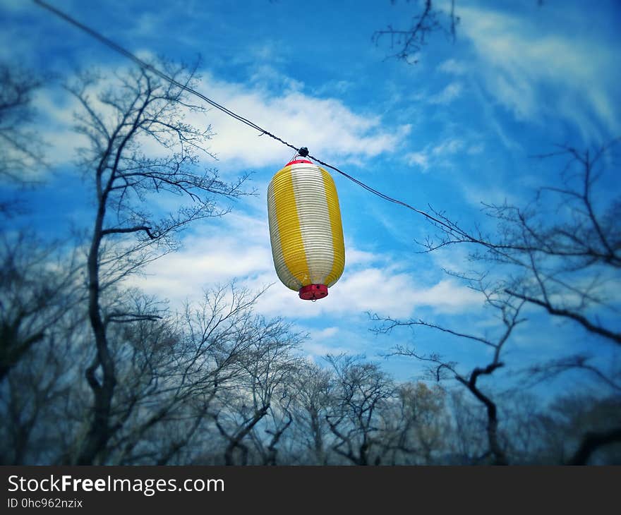 Cloud, Sky, Water, Tree, Parachute, Paragliding