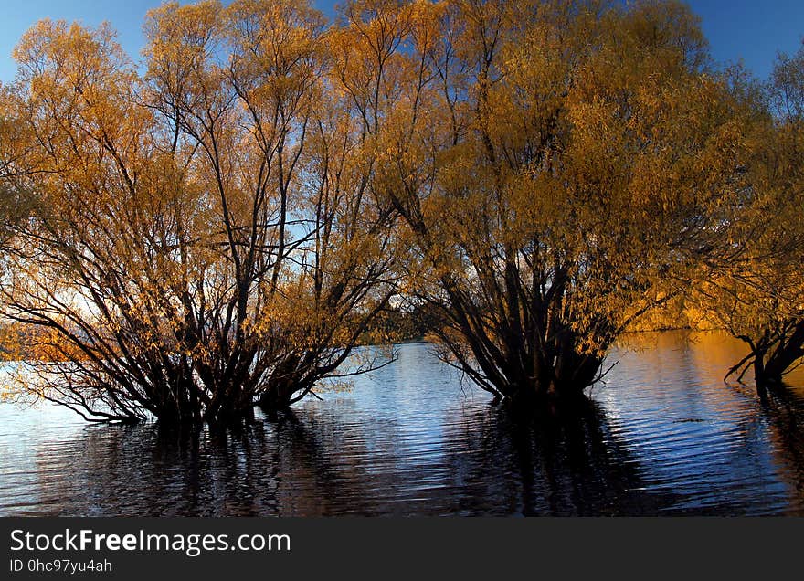 Autumn at Lake Tekapo NZ &#x28;1&#x29;