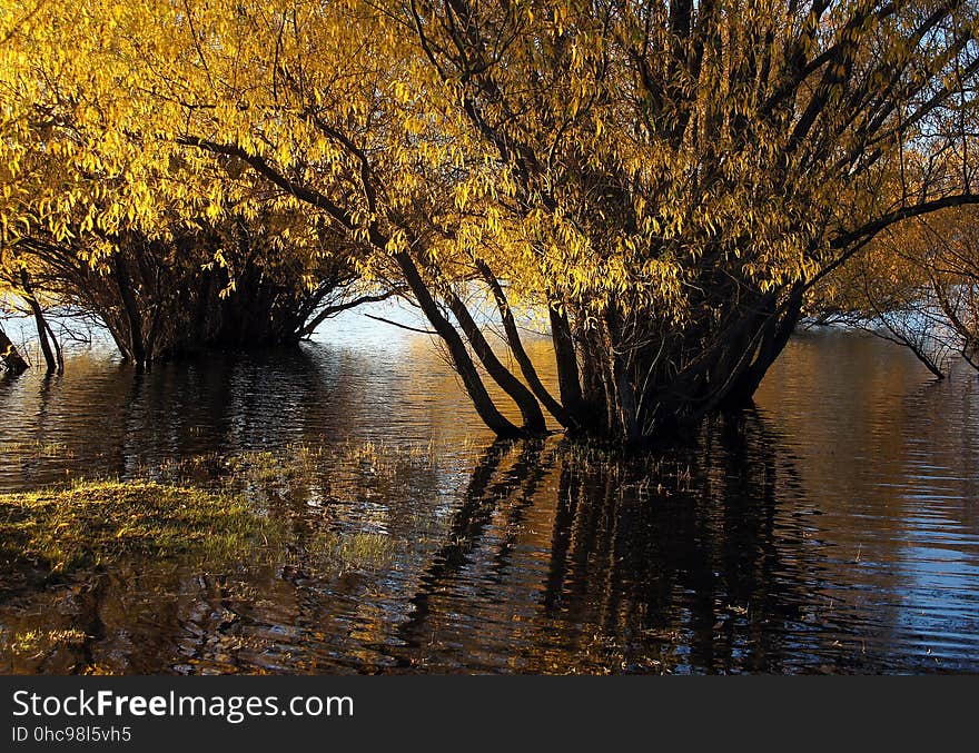 Autumn at Lake Tekapo NZ &#x28;25&#x29;