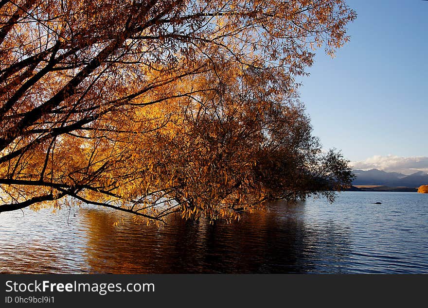 Autumn at Lake Tekapo NZ &#x28;19&#x29;