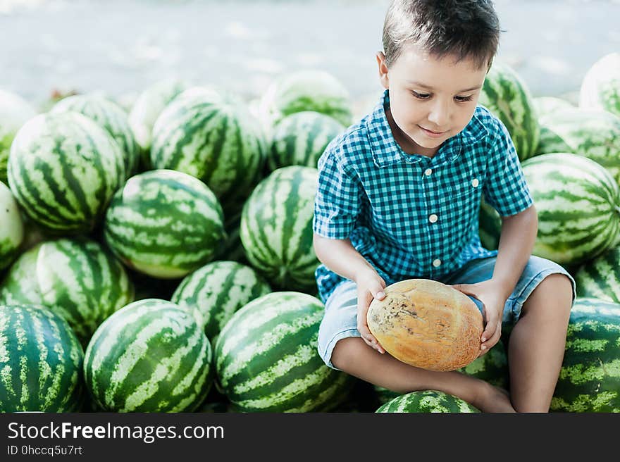 Boy Eating Watermelon. Happy Child In The Field.