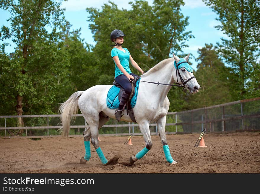 Girl rider trains the horse in the riding course in summer day