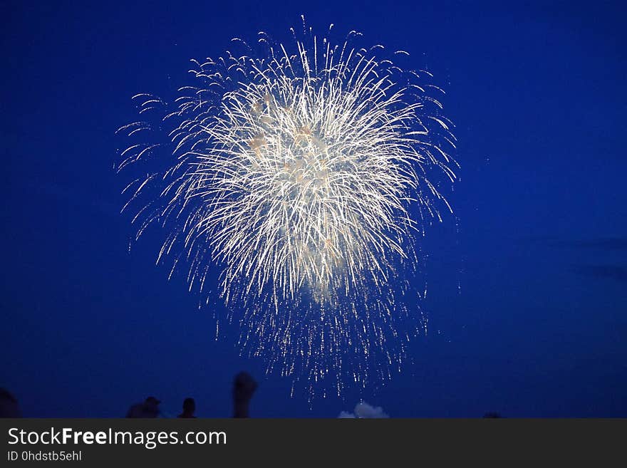 Fourth of July fireworks. A spray of sparks light the summer sky