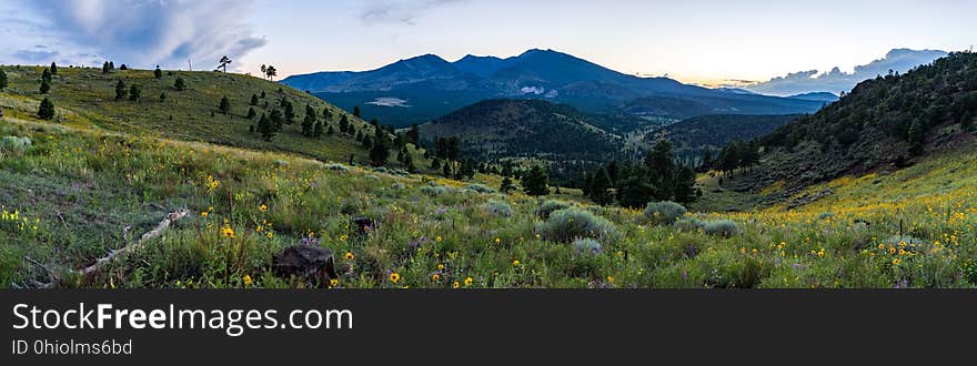 Late summer blooms in the O&#x27;Leary Peak and Sunset Crater Volcano area. Monsoon season brings a burst of wildflower blooms to Arizona&#x27;s higher elevations around Flagstaff. Fields of sunflowers blanket many open meadows and fields on the eastern side of the San Francisco Peaks. Photo taken August 23, 2017 by Deborah Lee Soltesz. Credit U.S. Forest Service Coconino National Forest. Learn more about the Coconino National Forest. Late summer blooms in the O&#x27;Leary Peak and Sunset Crater Volcano area. Monsoon season brings a burst of wildflower blooms to Arizona&#x27;s higher elevations around Flagstaff. Fields of sunflowers blanket many open meadows and fields on the eastern side of the San Francisco Peaks. Photo taken August 23, 2017 by Deborah Lee Soltesz. Credit U.S. Forest Service Coconino National Forest. Learn more about the Coconino National Forest.