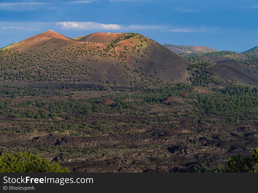 Late summer blooms in the O&#x27;Leary Peak and Sunset Crater Volcano area. Monsoon season brings a burst of wildflower blooms to Arizona&#x27;s higher elevations around Flagstaff. Fields of sunflowers blanket many open meadows and fields on the eastern side of the San Francisco Peaks. Photo taken August 23, 2017 by Deborah Lee Soltesz. Credit U.S. Forest Service Coconino National Forest. Learn more about the Coconino National Forest. Late summer blooms in the O&#x27;Leary Peak and Sunset Crater Volcano area. Monsoon season brings a burst of wildflower blooms to Arizona&#x27;s higher elevations around Flagstaff. Fields of sunflowers blanket many open meadows and fields on the eastern side of the San Francisco Peaks. Photo taken August 23, 2017 by Deborah Lee Soltesz. Credit U.S. Forest Service Coconino National Forest. Learn more about the Coconino National Forest.