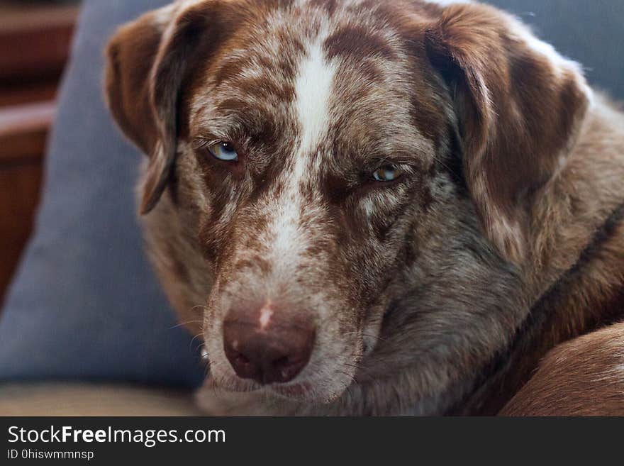 The &#x22;You Woke Me Up From a Nap for *That*&#x22; Look