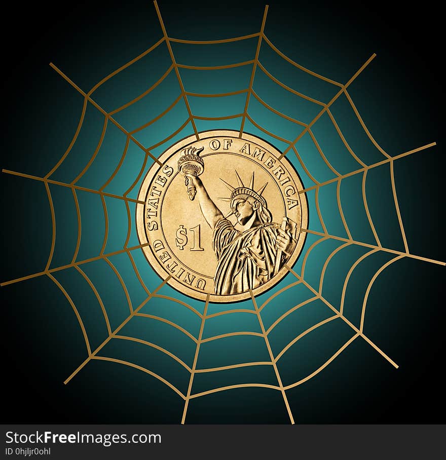 Spider Web, Circle, Invertebrate, Line