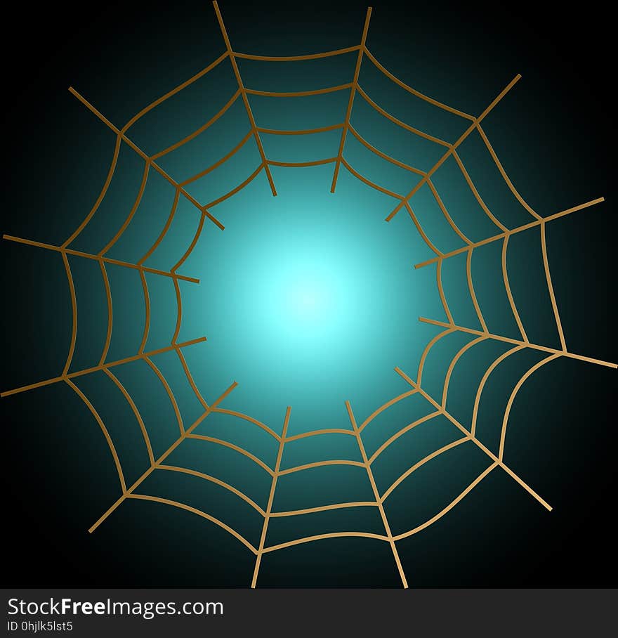 Spider Web, Light, Symmetry, Line