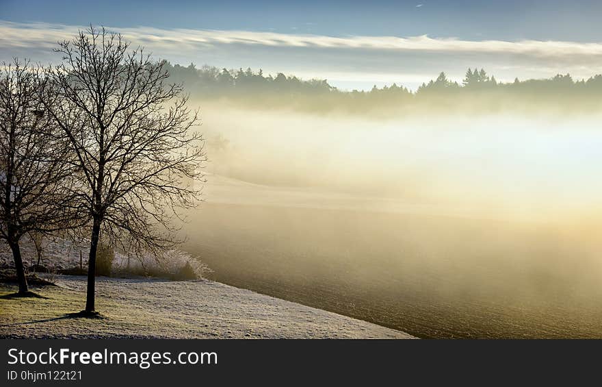 Fog, Sky, Mist, Morning