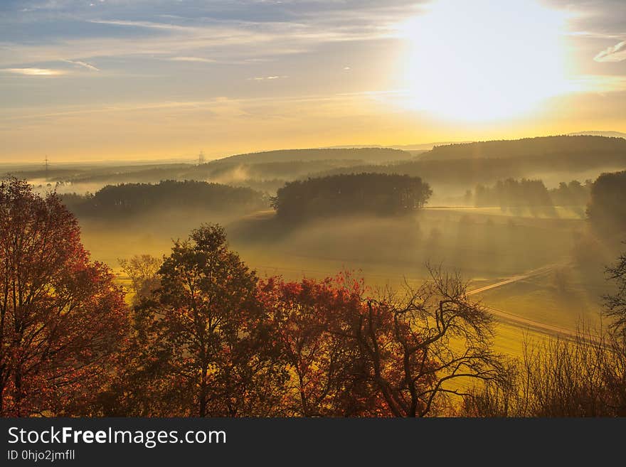 Sky, Dawn, Mist, Morning