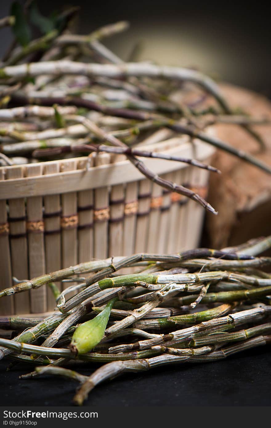 Twig, Grass, Wood, Grass Family