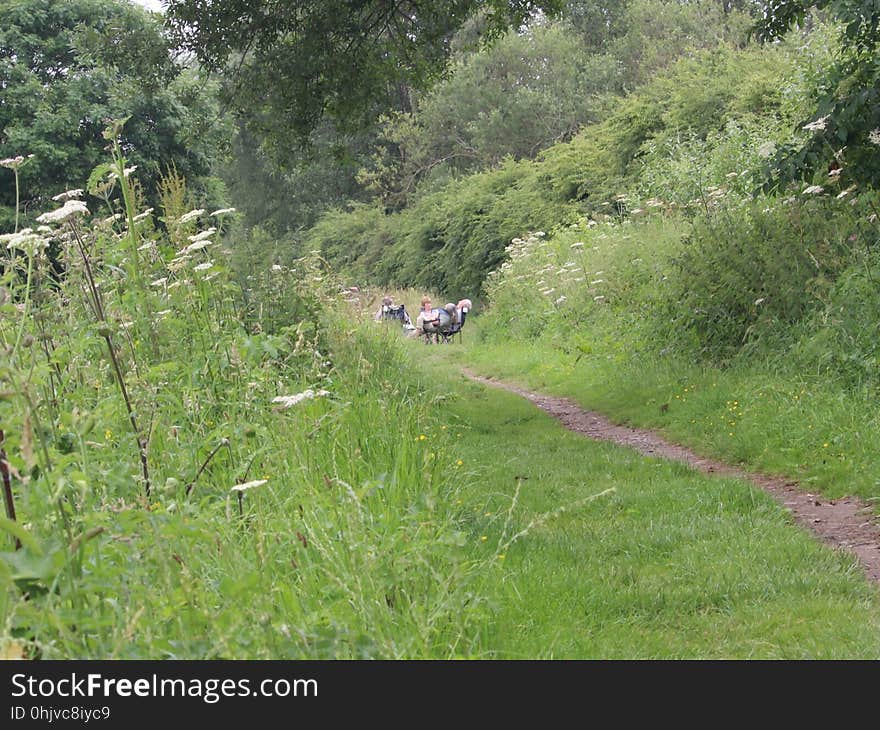 I love the way the towpath vegetation has been left unmown, apart from Narrowboat moorings near the Locks. The Trent & Mersey Canal is to the left of the path and the Wheelock Rail Trail runs behind the hedge on the right. This particular stretch is probably wide enough for two bikes to pass each other; normally! But not today; even though the path looks wide enough to hold a picnic. #dontgetmestarted Summers afternoon in the Cheshire Countryside 26/06/2017. I love the way the towpath vegetation has been left unmown, apart from Narrowboat moorings near the Locks. The Trent & Mersey Canal is to the left of the path and the Wheelock Rail Trail runs behind the hedge on the right. This particular stretch is probably wide enough for two bikes to pass each other; normally! But not today; even though the path looks wide enough to hold a picnic. #dontgetmestarted Summers afternoon in the Cheshire Countryside 26/06/2017