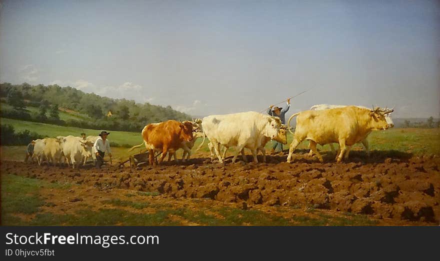 &#x22;Labourage nivernais&#x22;, sit aussi &#x22;Le sombrage&#x22;, Rosa Bonheur, 1849.