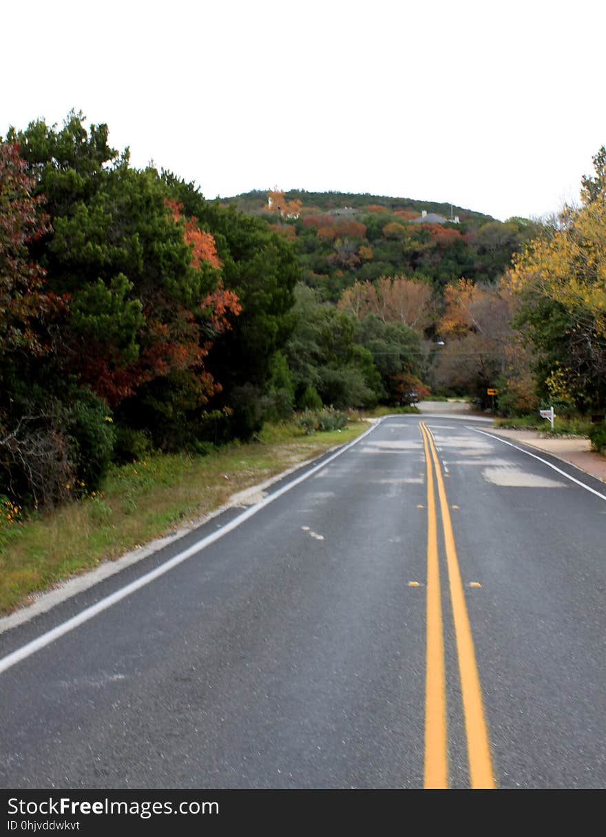 The Road to Mt. Bonnell