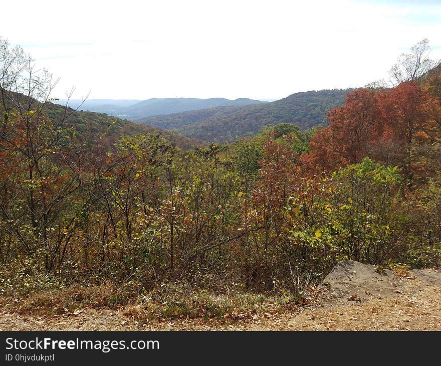 View from Monte Sano