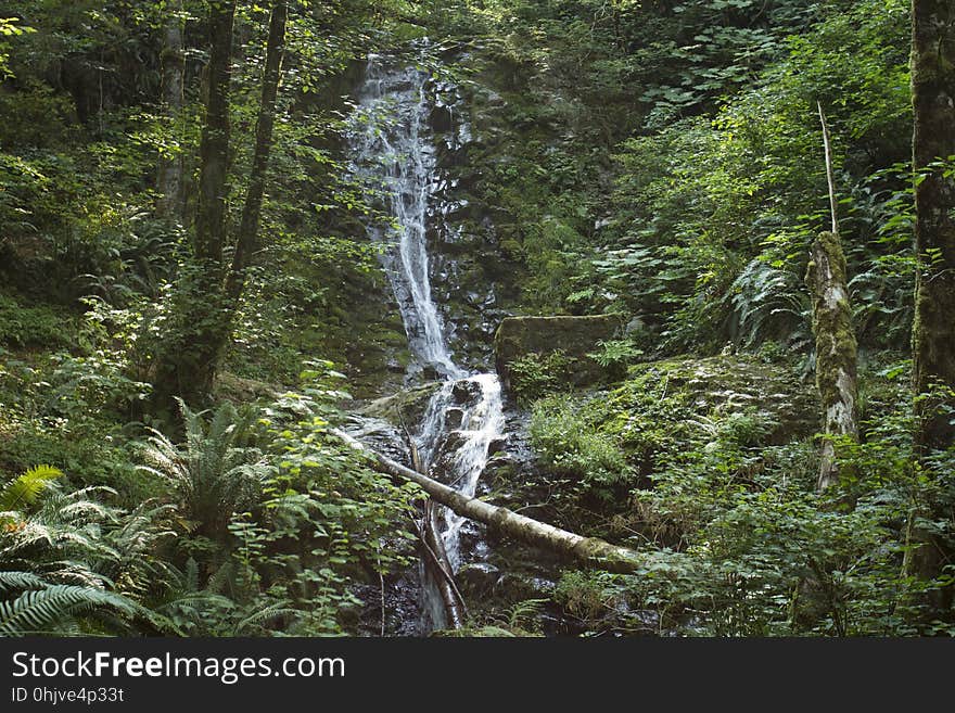 Bridge Creek Falls, Oregon