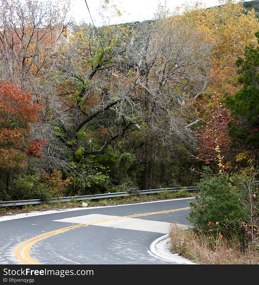 A Curve in the Road