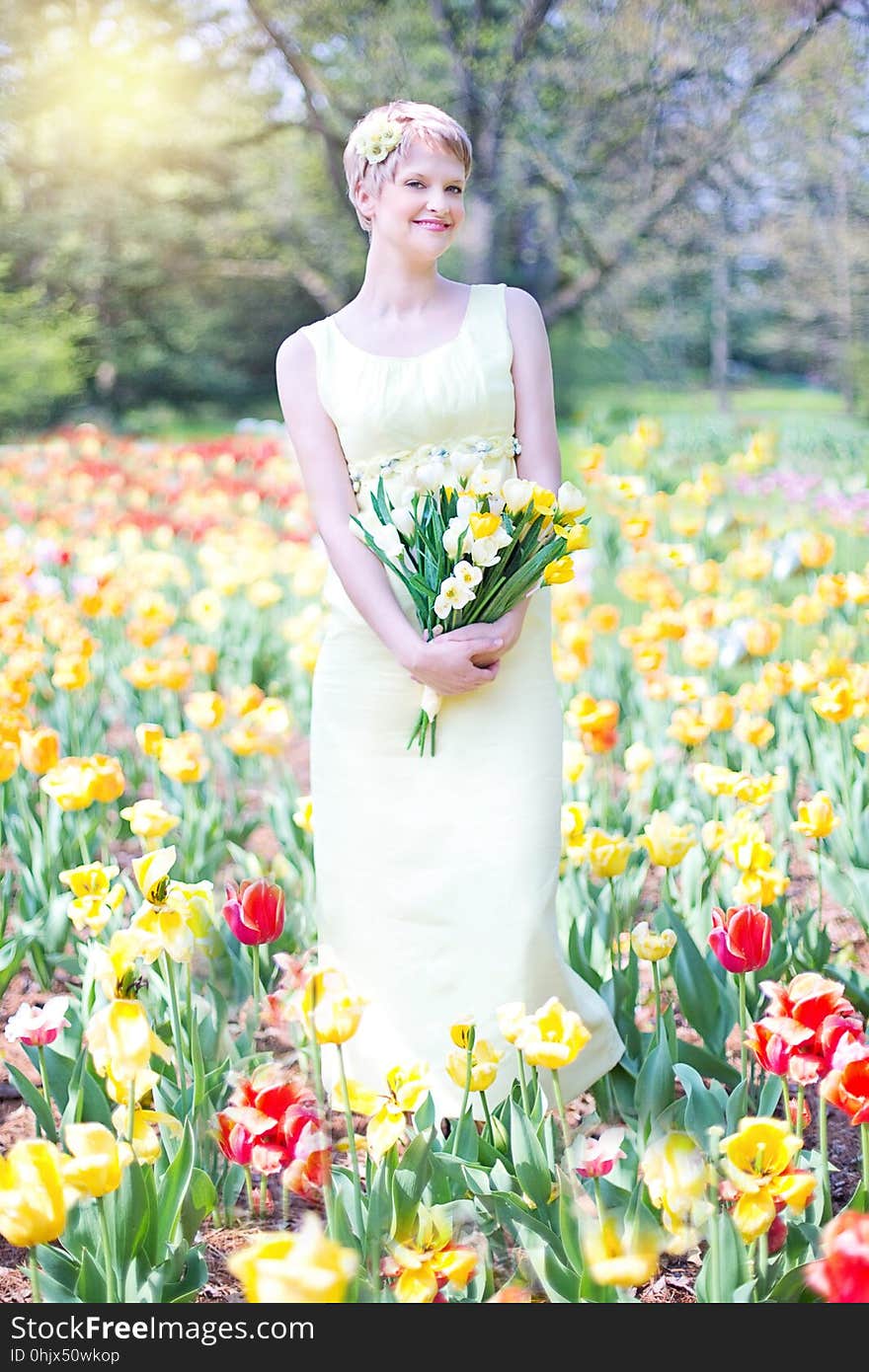 Flower, Flowering Plant, Yellow, Spring