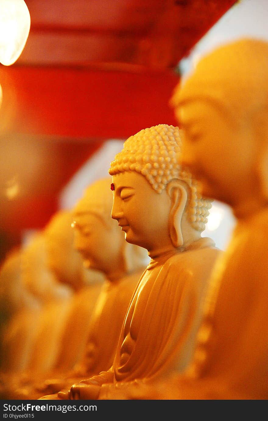 Yellow, Gautama Buddha, Orange, Close Up