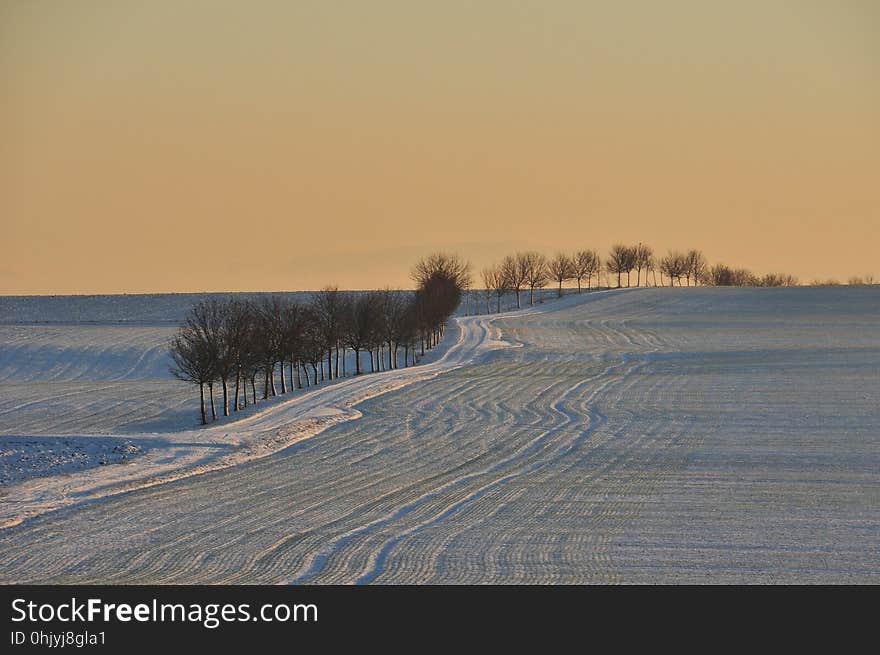 Snow, Winter, Sky, Freezing