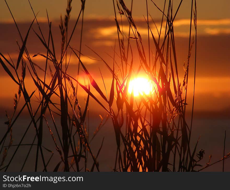 Sky, Sun, Sunrise, Sunset