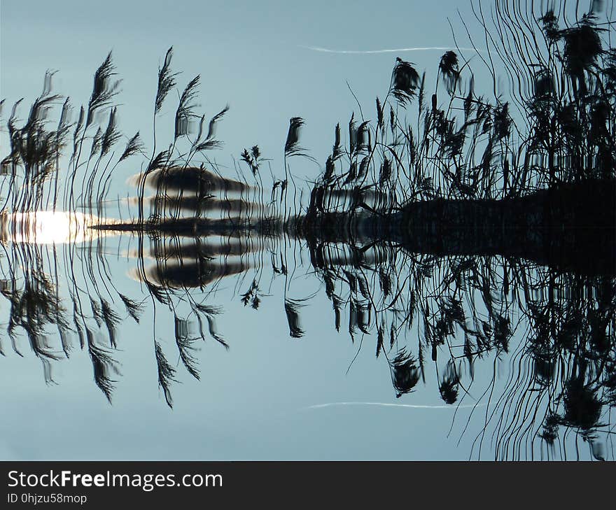 Reflection, Water, Tree, Sky